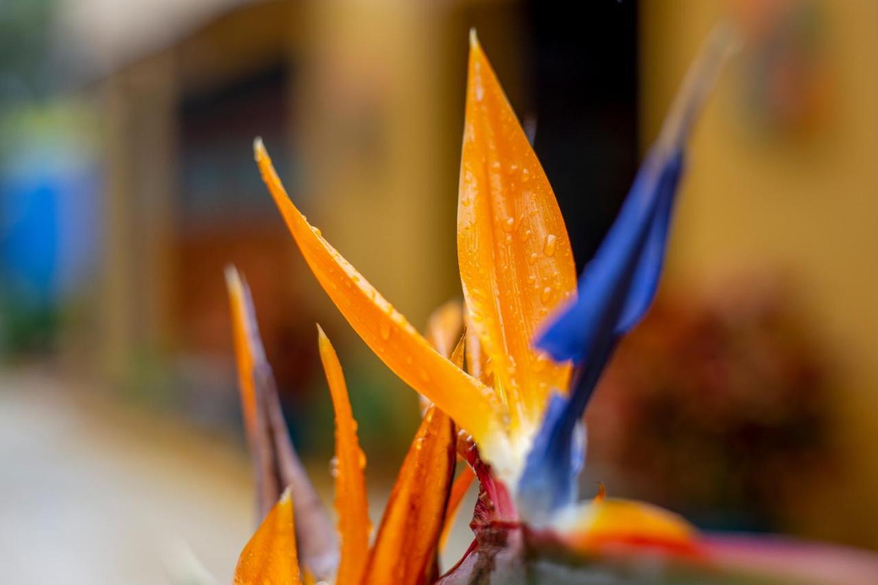 Xandari Resort & Spa Sabanilla de Pampas ภายนอก รูปภาพ
