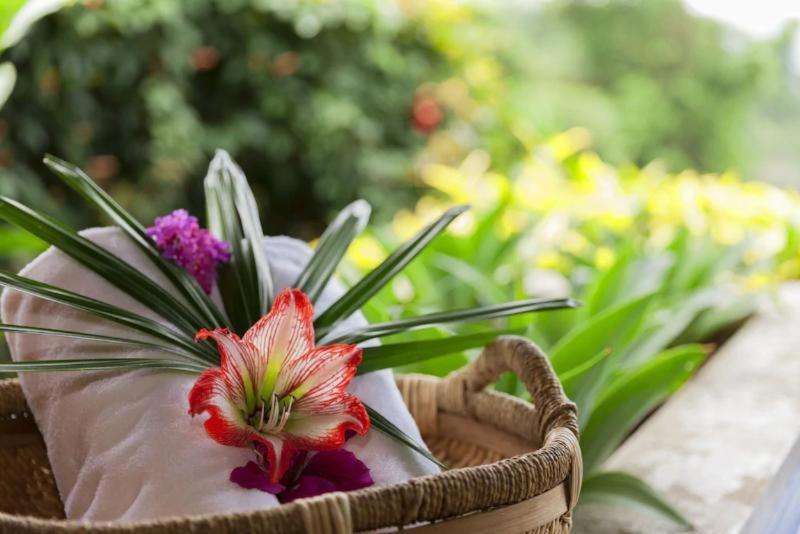 Xandari Resort & Spa Sabanilla de Pampas ห้อง รูปภาพ